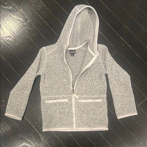 Gray Patagonia Hoodie